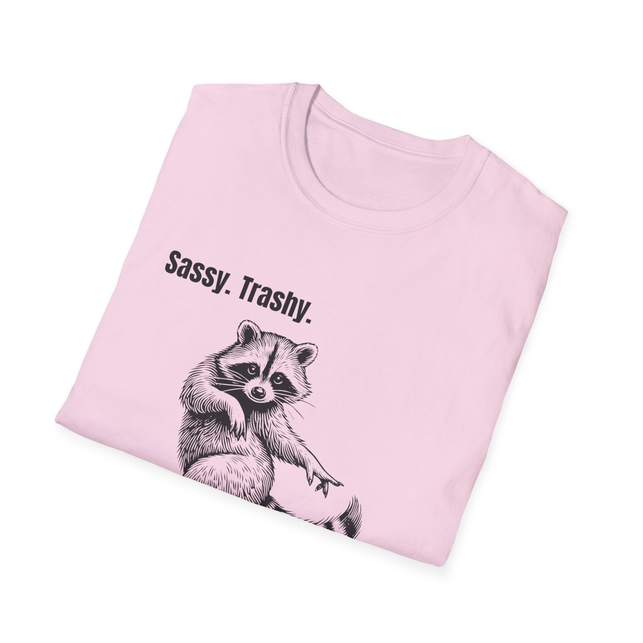 Sassy Trashy Classy’s Worst Nightmare | Raccoon Gremlin Tee