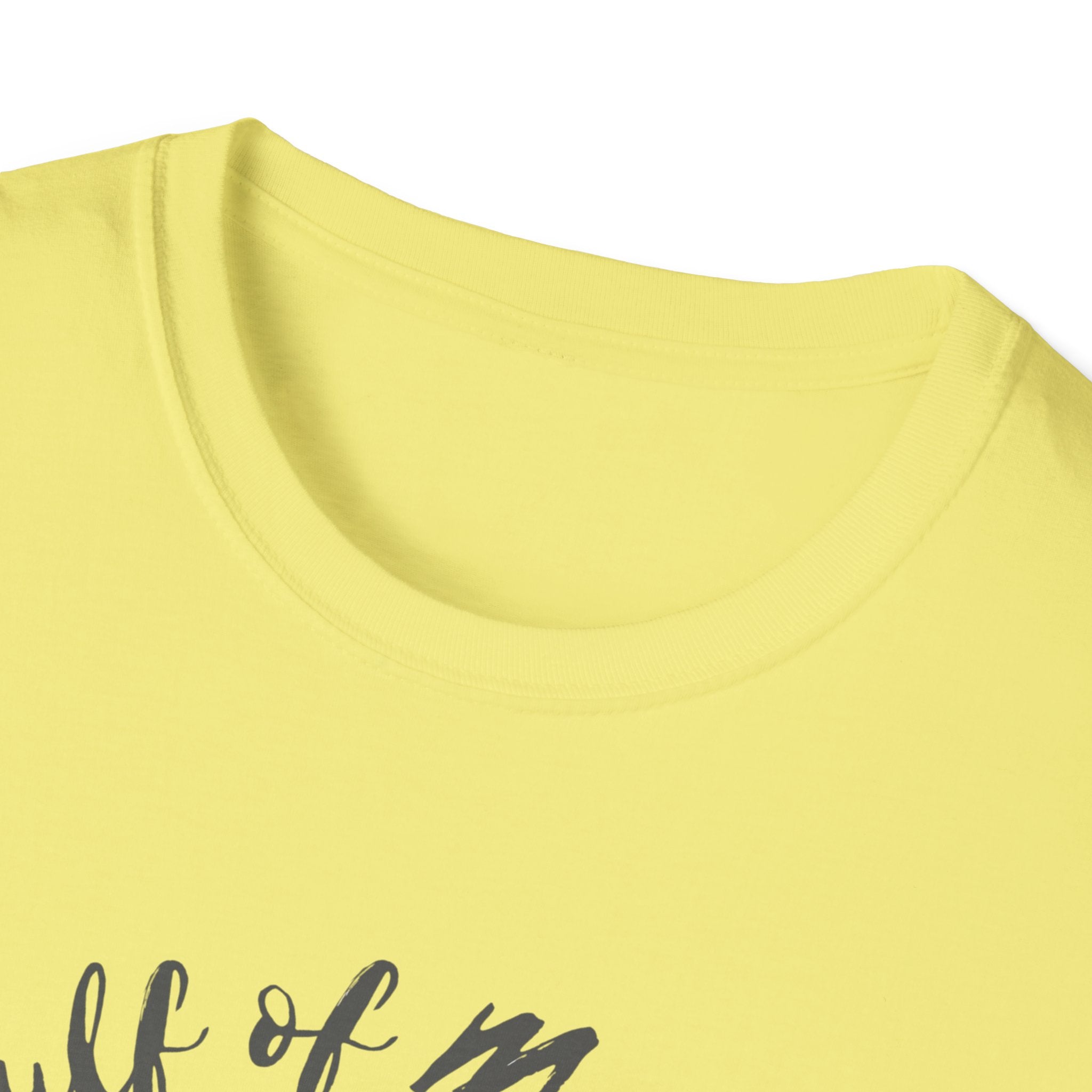Gulf of Mexico | Sea Turtle Coastline Tee