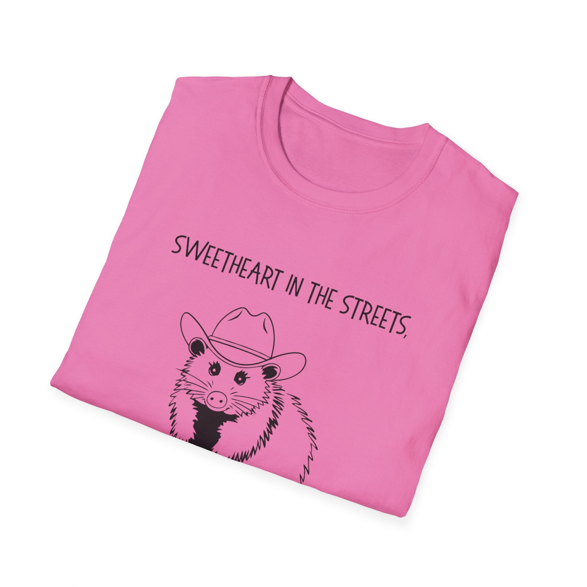 Sweetheart in the Streets | Goblin in the Sheets Possum Tee