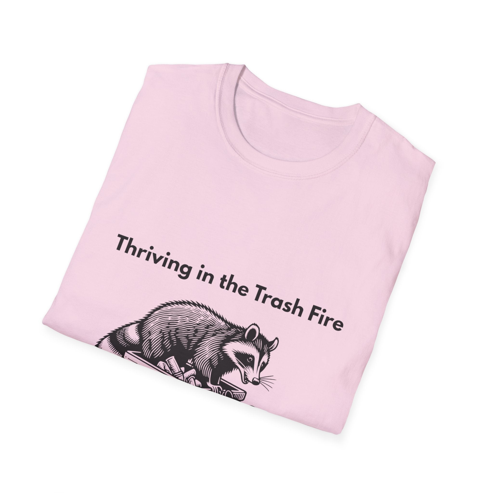 Thriving in the Trash Fire | Dumpster Gremlin Duo Tee