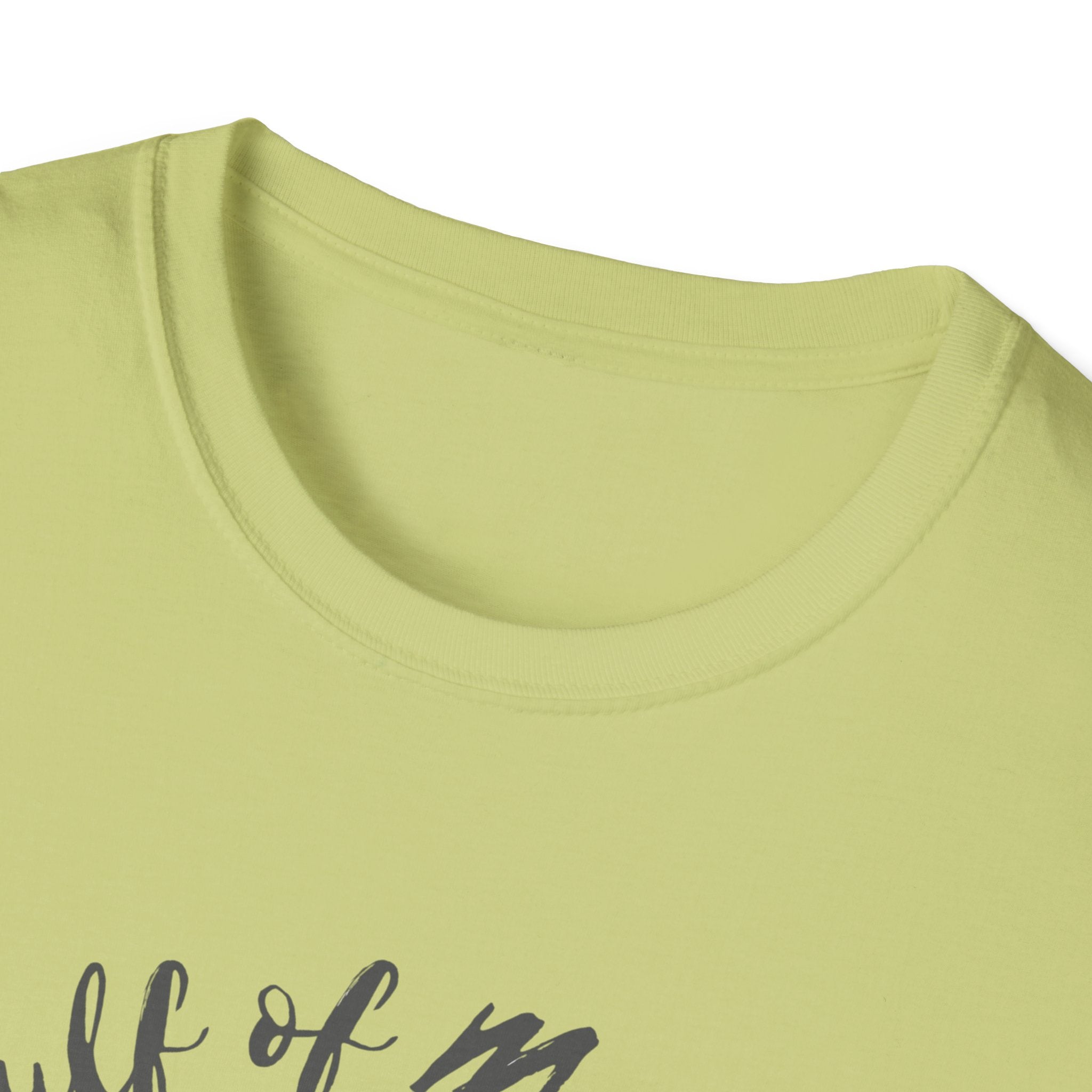 Gulf of Mexico | Sea Turtle Coastline Tee