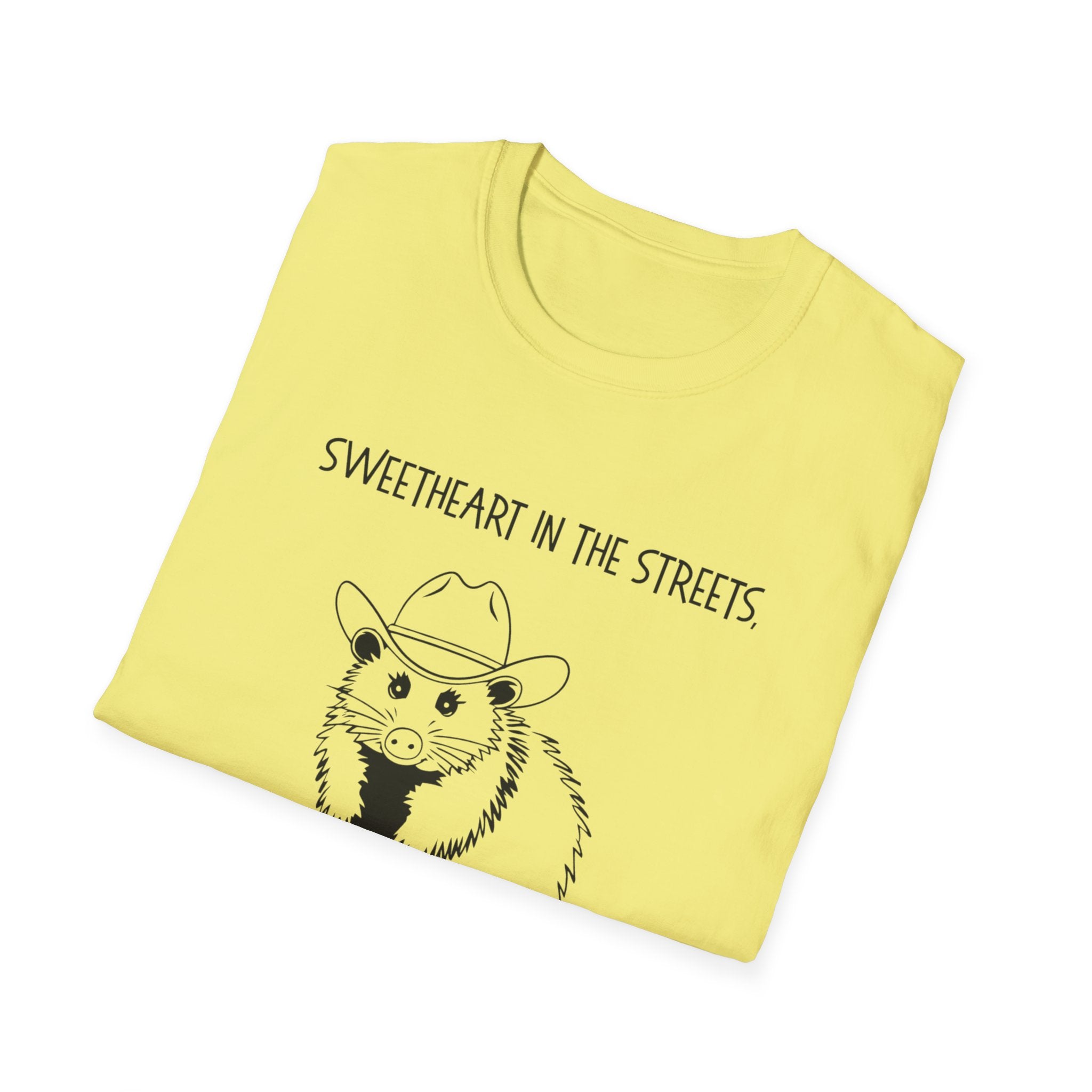 Sweetheart in the Streets | Goblin in the Sheets Possum Tee