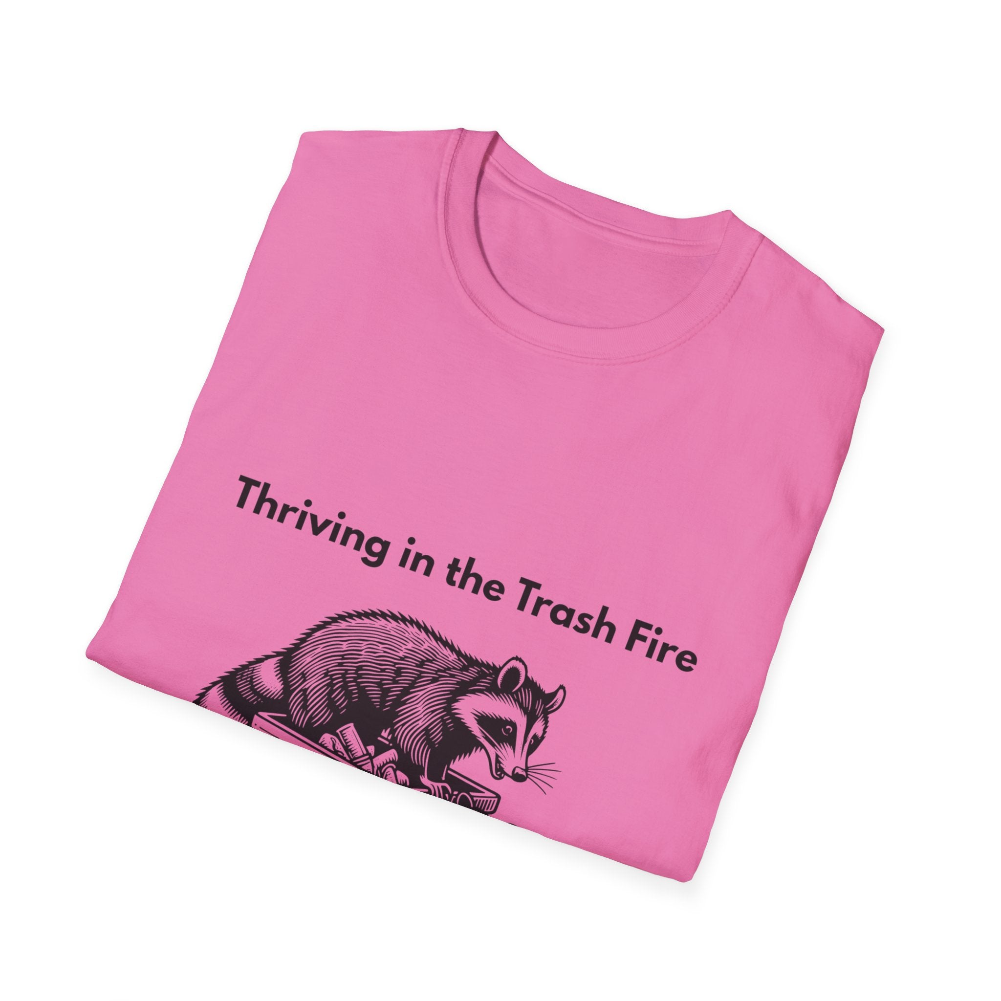 Thriving in the Trash Fire | Dumpster Gremlin Duo Tee