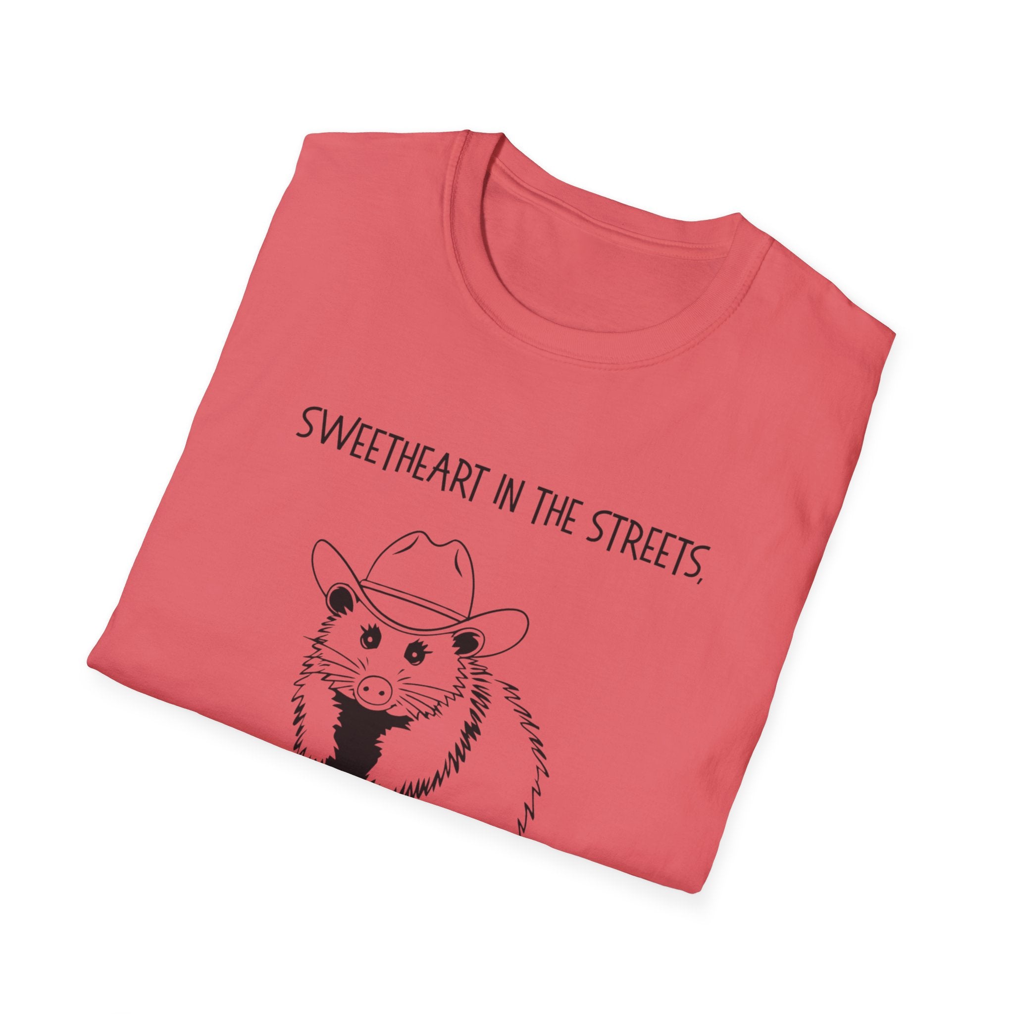 Sweetheart in the Streets | Goblin in the Sheets Possum Tee