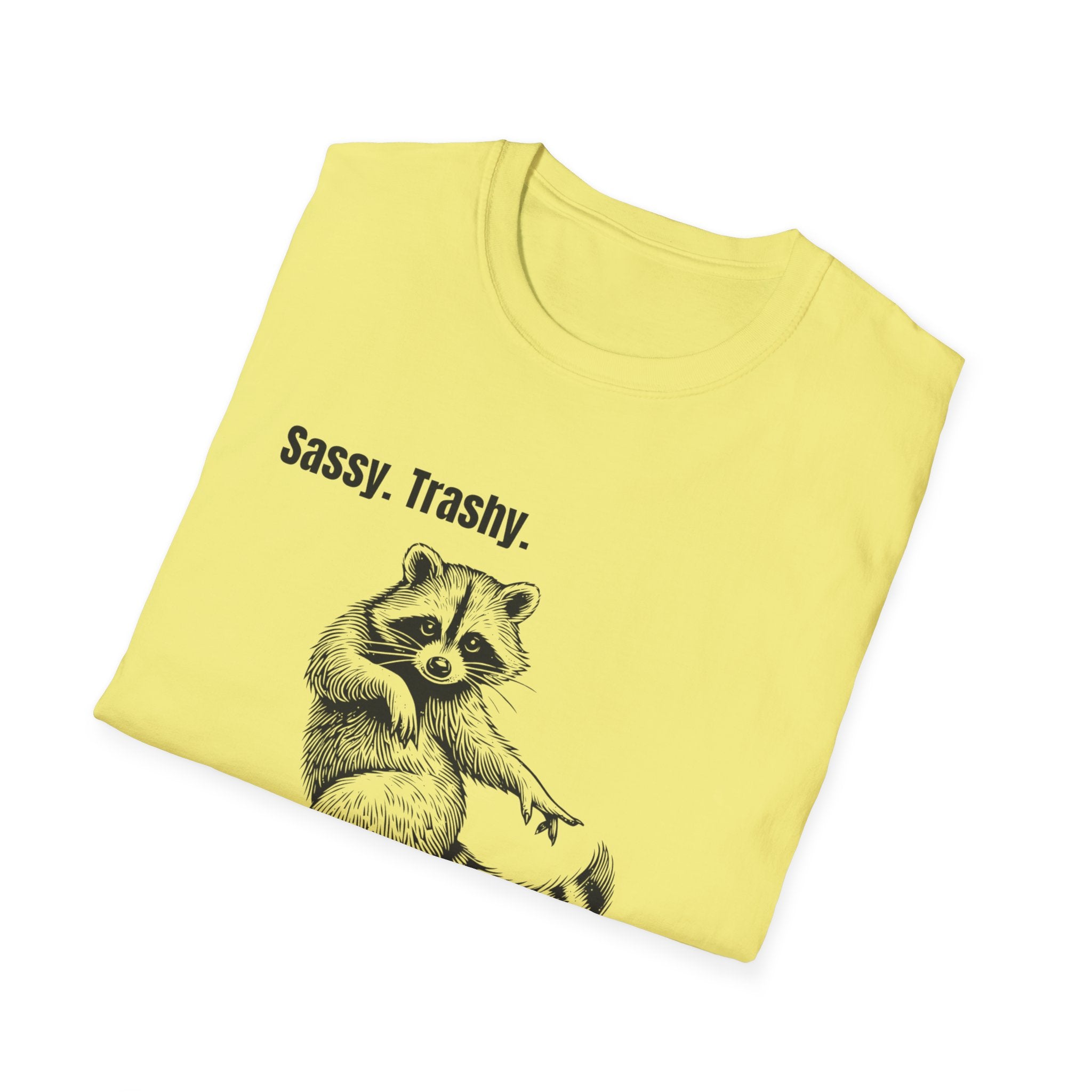 Sassy Trashy Classy’s Worst Nightmare | Raccoon Gremlin Tee