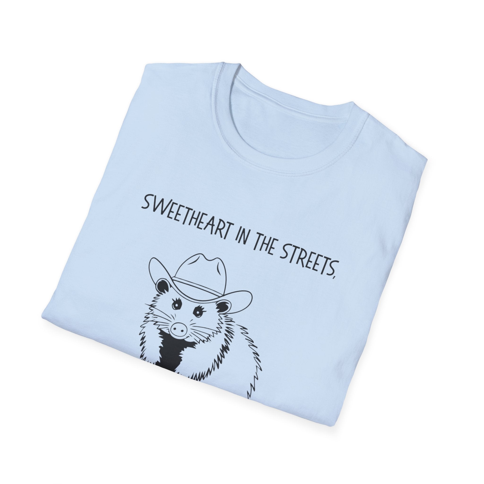 Sweetheart in the Streets | Goblin in the Sheets Possum Tee
